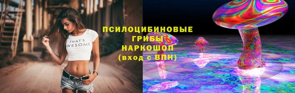 spice Карпинск