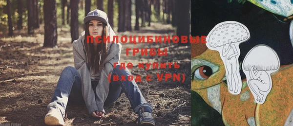 прущий лед Касимов