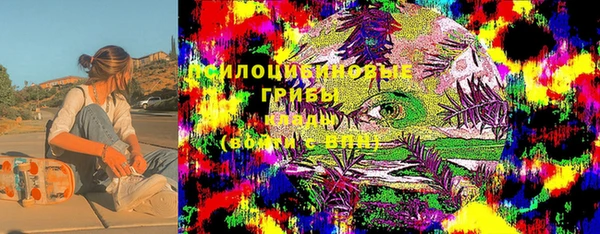 spice Карпинск