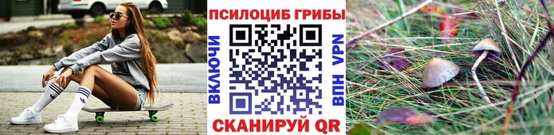 Галлюциногенные грибы GOLDEN TEACHER  Купить  Бирюсинск 